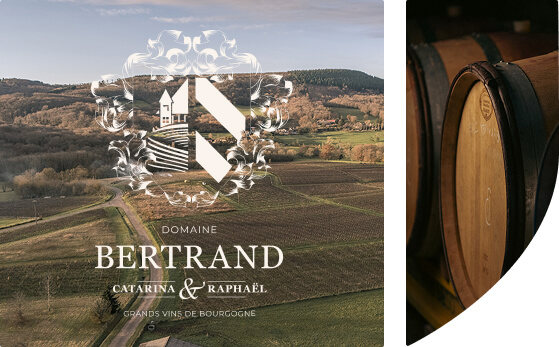 L’histoire de 4 générations de vignerons