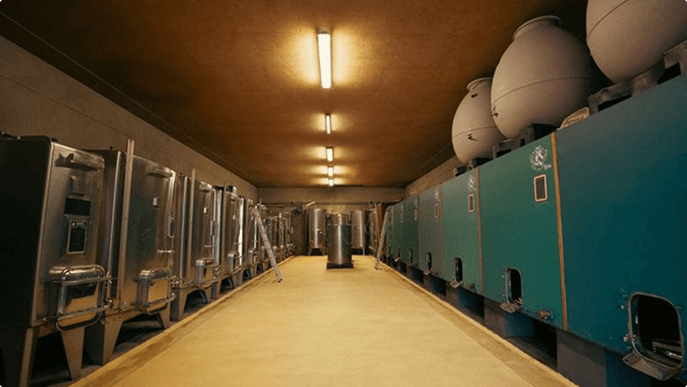 La passion du vin au Domaine Bertrand